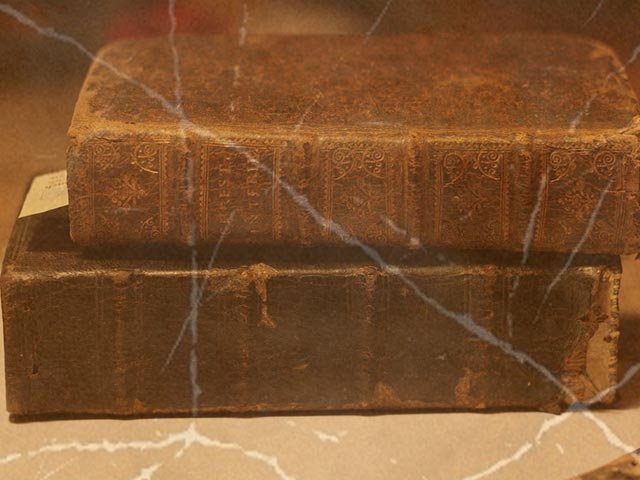 Wikinger Bücher und nordische Mythologie Bücher