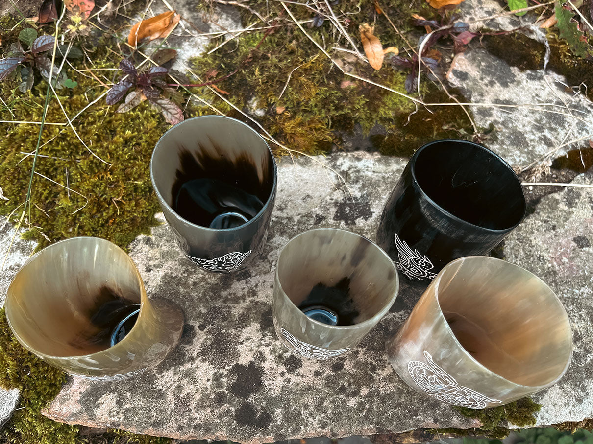 Wikinger Hornbecher 5er Set - 5 Hornbecher - Innenansicht