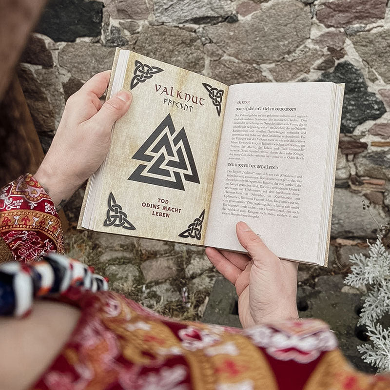 Buch Die Lehre der nordischen Symbole - Innenansicht