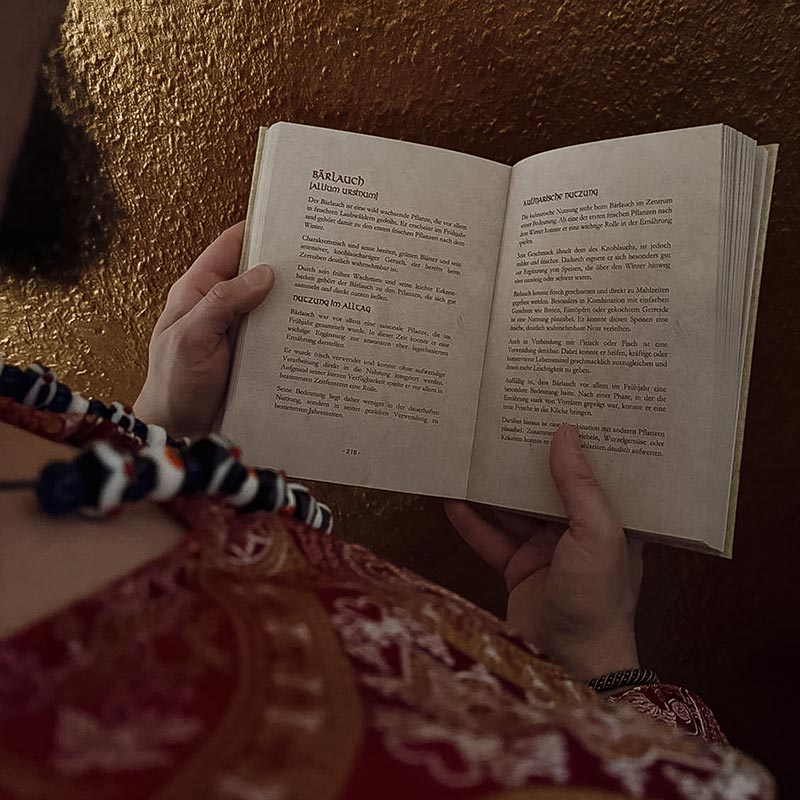 Die Lehre der nordischen Kräuter - Innenansicht